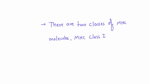 ⏩SOLVED:Which of the following statements is not true? (A) An… | Numerade