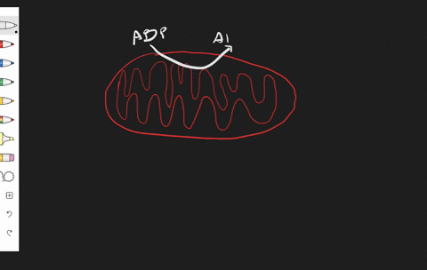 use-the-figure-below-figure-cant-copy-which-organelle-is-illustrated-in-the-figure-a-golgi-apparatus