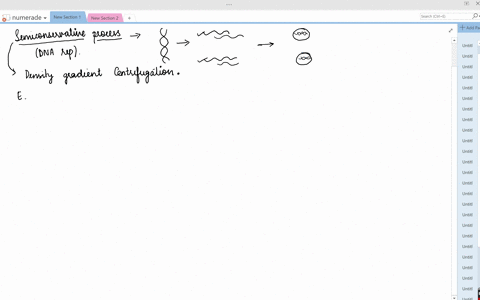 why-is-the-replication-of-dna-referred-to-as-a-semiconservative-process-what-is-the-experimental-e-2