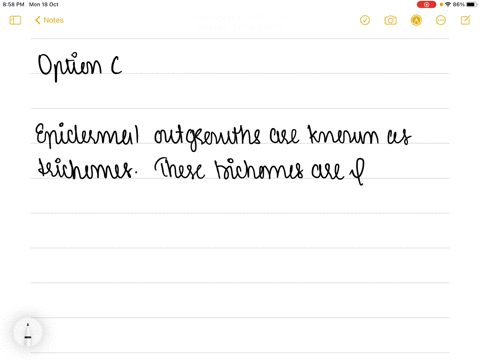 epidermal-outgrowths-are-known-as-a-stomata-b-leaves-c-trichomes-d-flower-buds