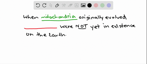 which-of-the-following-was-not-present-on-earth-when-mitochondria-first-evolved-a-archaeans-b-bacter