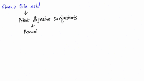 what-is-the-function-of-the-bile-acids