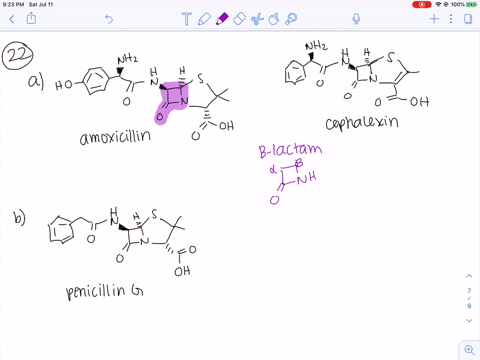 the-penicillins-and-cephalosporins-beta-lactam-antibiotics-chemical-connections-18-mathrmb-a-identif