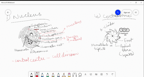describe-the-structure-of-the-following-with-the-help-of-labelled-diagrams-i-nucleus-ii-centrosome