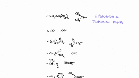 intramolecular-forces-of-attraction-are-often-important-in-holding-large-molecules-together-for-exam