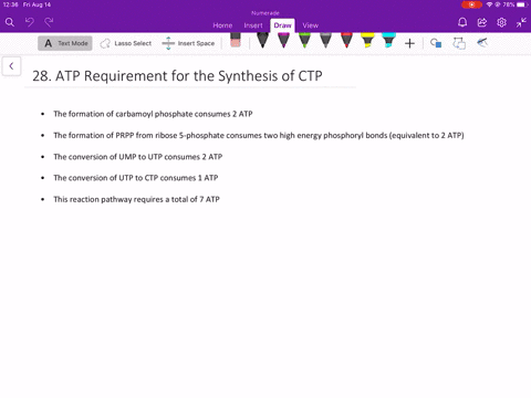 how-many-molecules-of-atp-are-required-to-synthesize-one-molecule-of-ctp-from-scratch