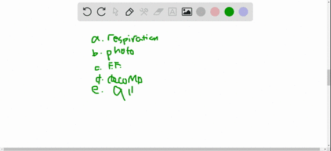 which-of-the-following-contributes-to-the-carbon-cycle-a-respiration-b-photosynthesis-c-fossil-fuel-