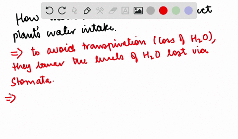 how-might-the-increase-in-atmospheric-leftmathrmco_2right-affect-plants-water-consumption
