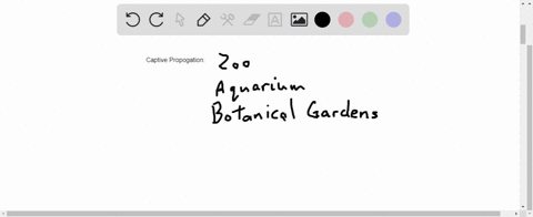 captive-propagation-is-a-useful-conservation-tool-provided-that-a-there-is-space-in-zoos-aquariums-2