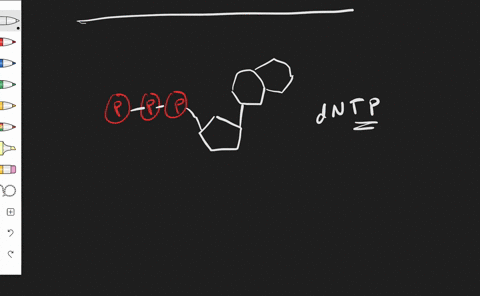 energy-that-drives-the-attachment-of-a-nucleotide-to-the-end-of-a-growing-strand-of-dna-comes-from-_