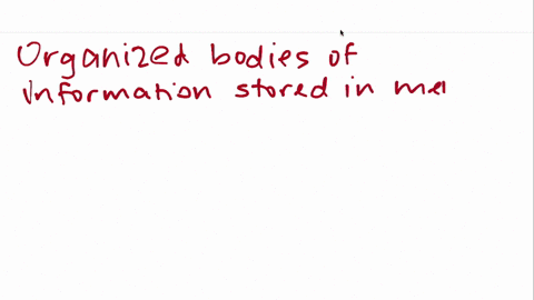 __________-are-organized-bodies-of-information-stored-in-memory-that-bias-the-way-new-information-is