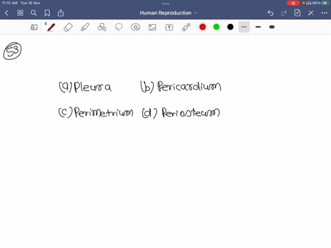 external-thin-membranous-layer-of-uterus-is-known-as-a-pleura-b-pericardium-c-perimetrium-d-perioste