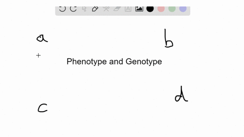 in-which-of-the-following-can-the-phenotype-be-used-to-accurately-predict-the-genotype-a-homozygous-