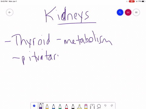 which-endocrine-glands-are-associated-with-the-kidneys-a-thyroid-glands-b-pituitary-glands-c-adren-2
