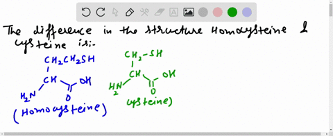 homocysteine-figure-mathrmp-2075-is-formed-during-the-metabolism-of-amino-acids-a-mutation-in-some-p