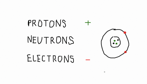 which-subatomic-particles-contribute-most-to-the-atoms-mass-which-subatomic-particles-determine-th-2