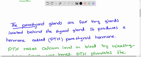 assertion-pth-increases-the-mathrmca2-level-in-blood-reason-pth-stimulates-the-process-of-bone-resor