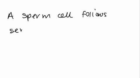 a-sperm-cell-follows-which-path-a-seminiferous-tubules-epididymis-vas-deferens-urethra-b-urethra-v-2
