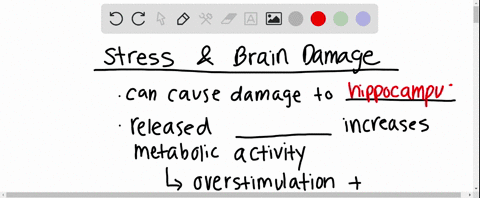 how-does-prolonged-stress-damage-the-hippocampus-3