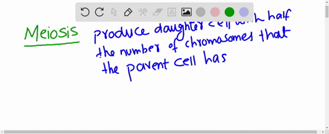 select-the-correct-terms-in-the-following-sentences-mitosis-meiosis-produces-daughter-cells-with-hal