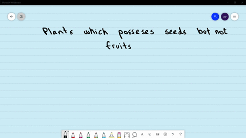 plants-which-posseses-seeds-but-not-fruits-are-a-brophytes-b-pieridophytes-c-gyunosperms-d-angiosper