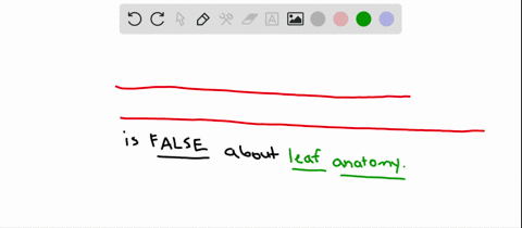 which-statement-about-leaf-anatomy-is-not-true-a-stomata-are-controlled-by-paired-guard-cells-b-the-