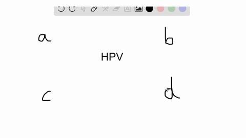 the-hpv-virus-can-cause-a-genital-warts-b-aids-c-herpes-d-hepatitis