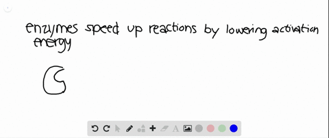explain-how-the-active-site-of-an-enzyme-functions