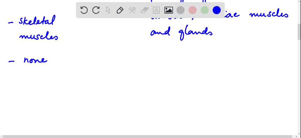 SOLVED:Distinguish between the types of activities that the somatic and ...