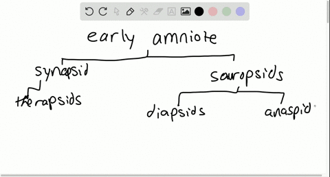 which-of-the-following-reptile-groups-gave-rise-to-modern-birds-a-lepidosaurs-b-pterosaurs-c-anapsid