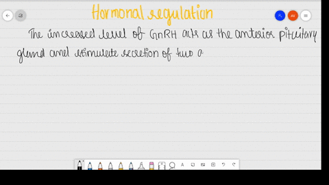 name-the-hormones-involved-in-regulation-of-spermatogenesis