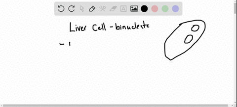 cell-division-typically-yields-two-daughter-cells-each-with-one-nucleus-how-is-the-occasional-binucl
