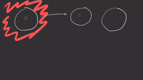 a-cell-containing-a-single-chromosome-is-placed-in-a-medium-containing-radioactive-phosphate-making-