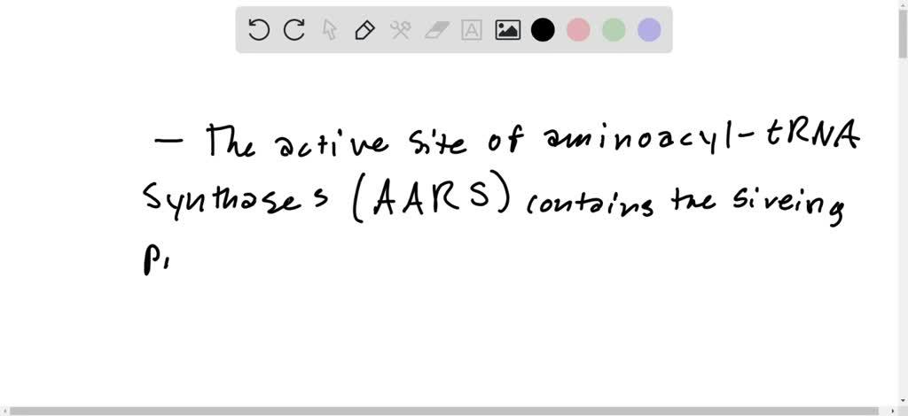 Function Aars Where are the sieving portions of AARS enzymes located? What is their ...