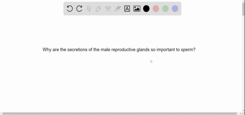why-are-the-secretions-of-the-male-reproductive-glands-so-important-to-sperm