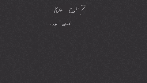 lack-of-calcium-in-muscles-will-a-result-in-no-contraction-b-cause-weak-contraction-c-cause-strong-c