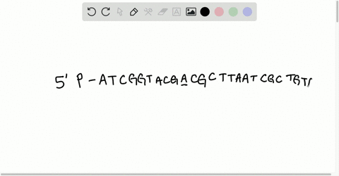a-dna-template-plus-primer-with-the-structure-beginaligned-3prime-mathrmp-text-tgcgaattagcgacat-math