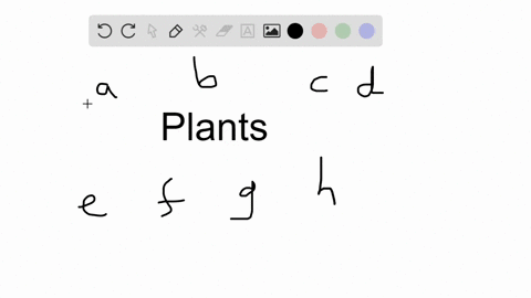 plants-are_________choose-all-that-apply-a-organisms-e-consumers-b-a-domain-f-producers-c-a-species-