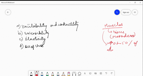 muscles-are-characterized-by-a-excitability-and-contractility-b-extensibility-c-elasticity-d-all-of-