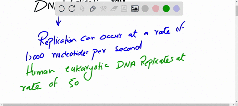 dna-replication-rates-assuming-that-figure-335-is-a-representative-sample-of-the-replication-process