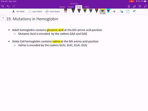 hemoglobin-is-a-complex-protein-that-contains-four-polypeptide-chains-the-normal-hemoglobin-found-2
