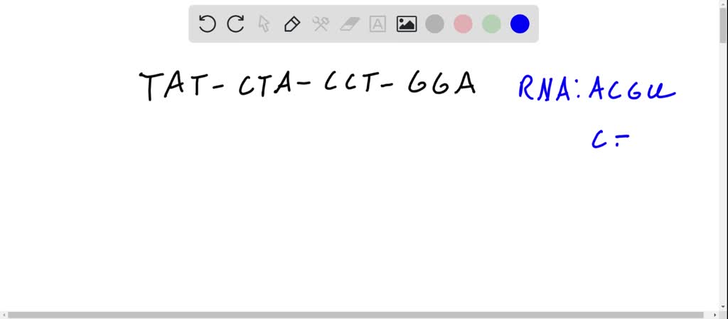 SOLVED:What will be the sequence of bases in an mRNA molecule ...