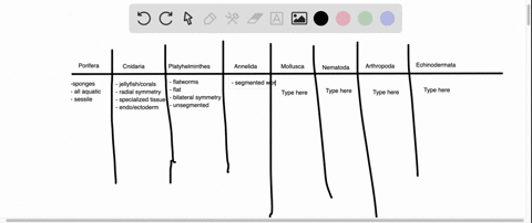 compare-the-nine-major-animal-phyla-in-the-order-in-which-the-chapter-presents-them-listing-the-feat