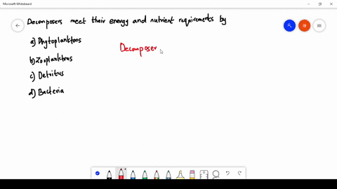 decomposers-meet-their-energy-and-nutrient-requirements-by-a-phytoplanktons-b-zooplanktons-c-detritu
