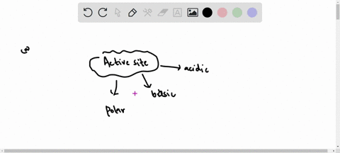 the-active-sites-of-enzymes-usually-contain-amino-acids-with-acidic-basic-and-polar-side-chains-some