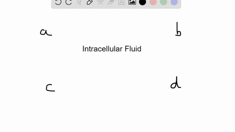 the-major-cation-in-intracellular-fluid-is-________-a-sodium-b-potassium-c-chloride-d-bicarbonate