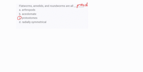 flatworms-annelids-and-roundworms-are-all-________-a-arthropods-b-aceolomate-c-protostomes-d-radiall