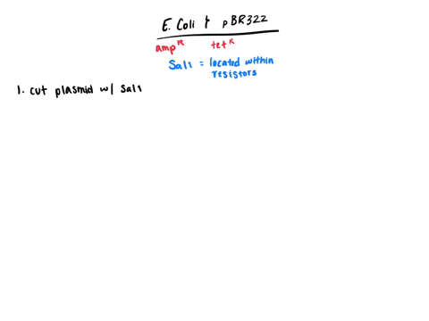 the-plasmid-pbr322-contains-the-a-m-pmathrmr-and-t-e-tmathrmr-genes-which-respectively-confer-resist