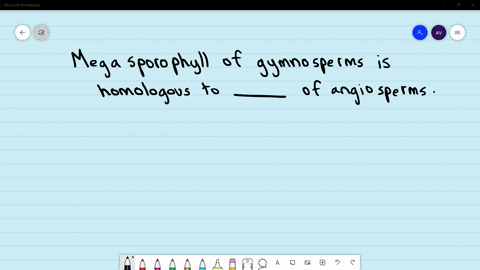 megasporophyll-of-gymnosperms-is-homologous-to-of-angiosperms-a-stamen-b-carpel-c-sepal-d-petal