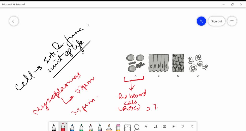 solved-using-the-drop-down-menus-identify-the-structures-common-to-all